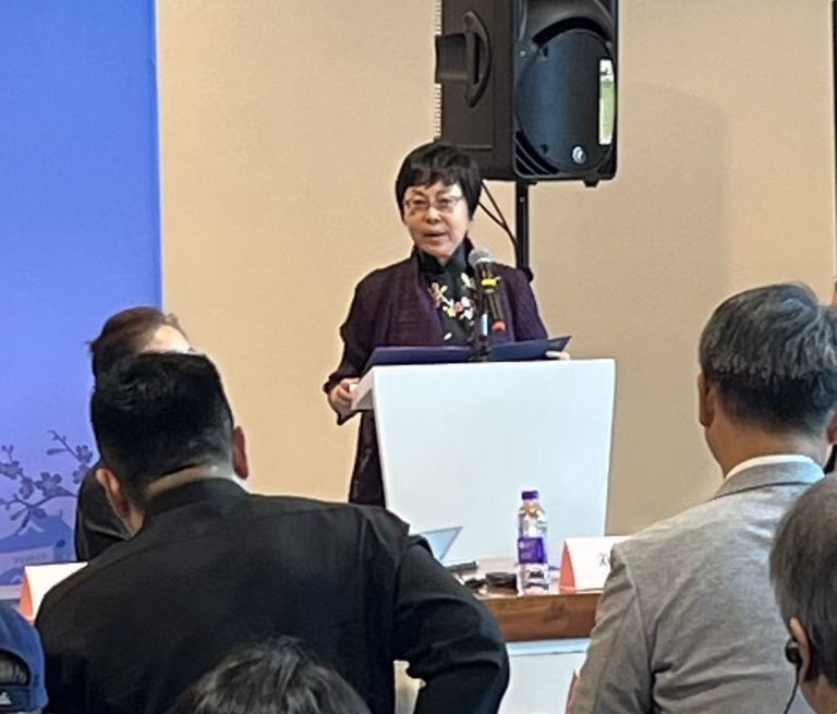上海市社会组织国际交流促进会会长 景莹